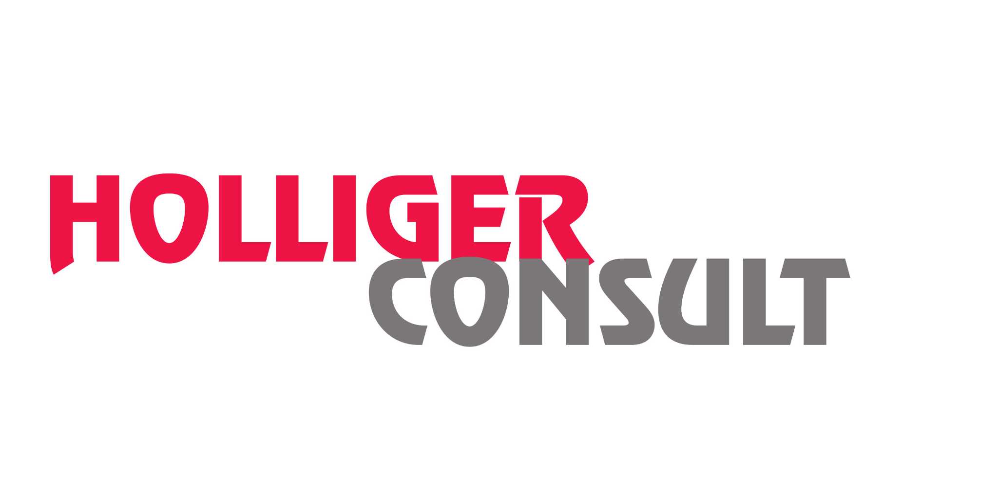 Holliger Consult GmbH